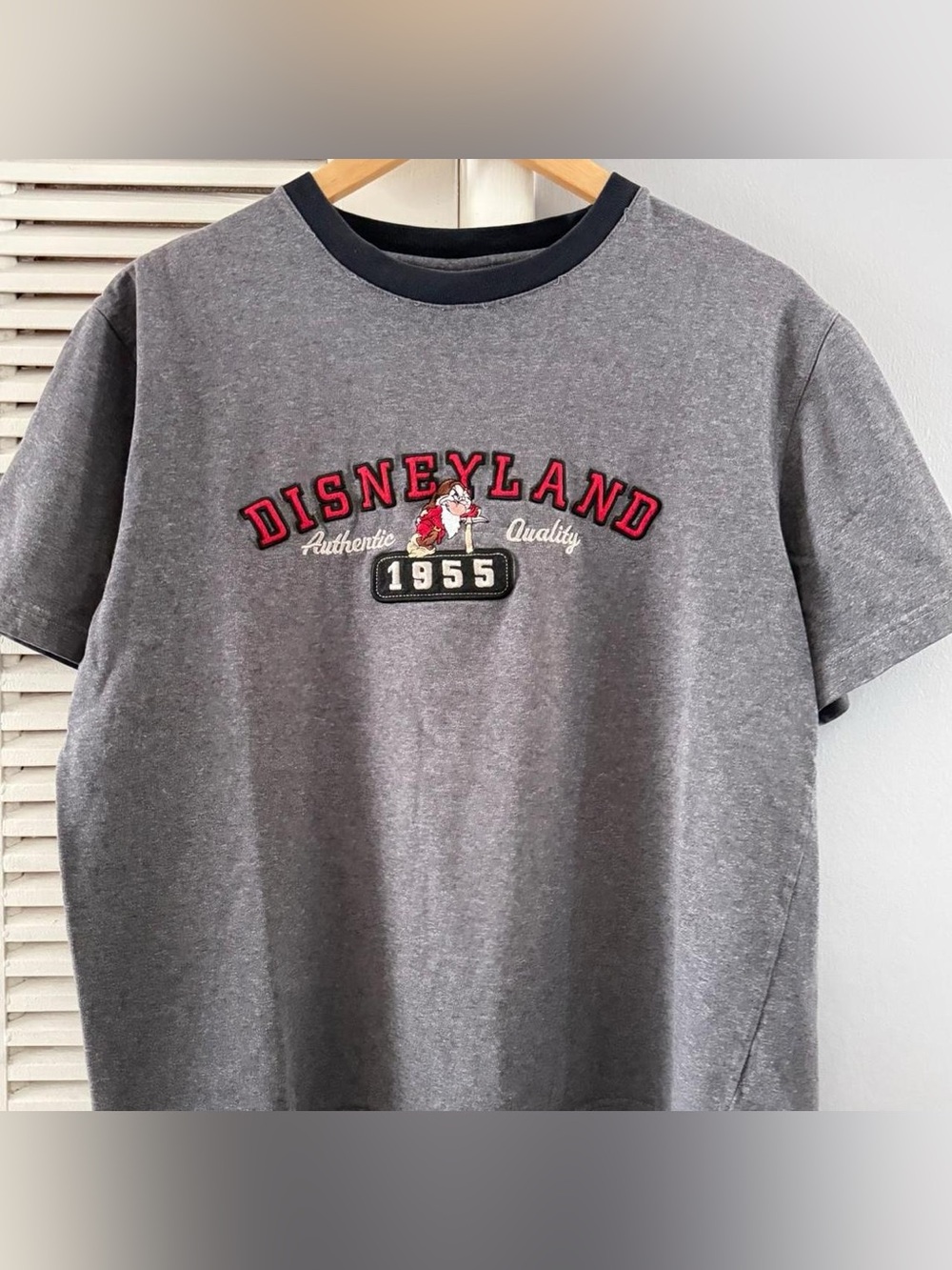 Vintage Disneyland Resort 1955 Embroidered T-shirt